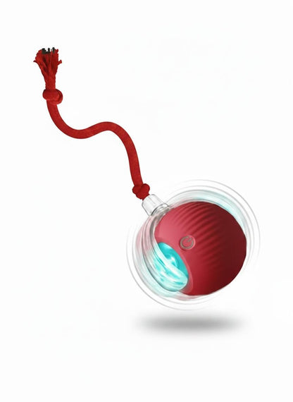 PurrMotion Instinkt Spielball