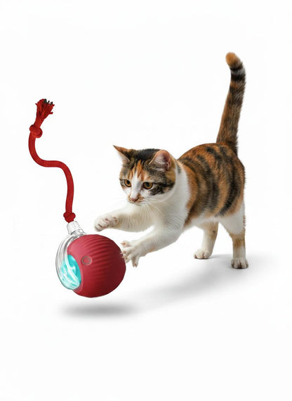 PurrMotion Instinkt Spielball