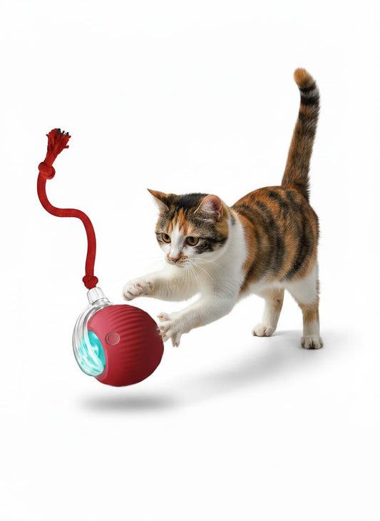 PurrMotion Instinkt Spielball