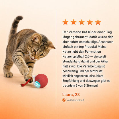 PurrMotion Instinkt Spielball 2.0