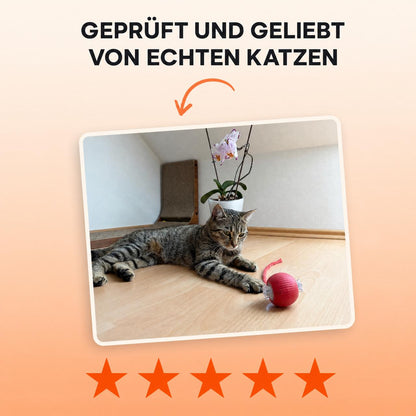 PurrMotion Instinkt Spielball 2.0