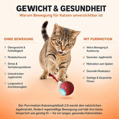 PurrMotion Instinkt Spielball 2.0